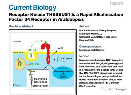 解锁植物科学领域分子互作技术难题 5月28日生物核心论坛揭秘