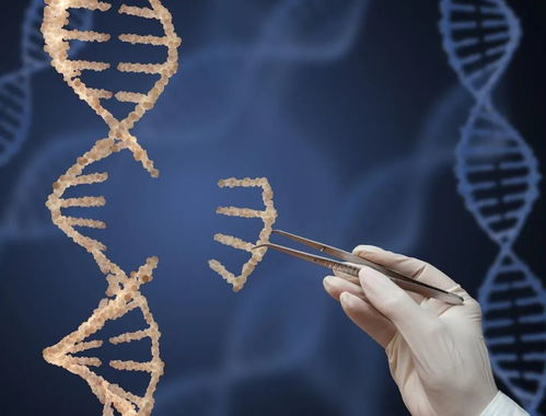 未来十年生物医药需重点关注的10大领域