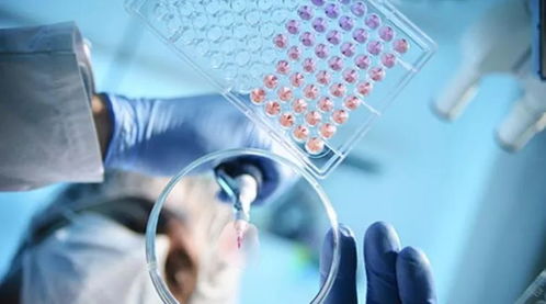 官媒点赞干细胞 生物医学或将迎来“三次革命”