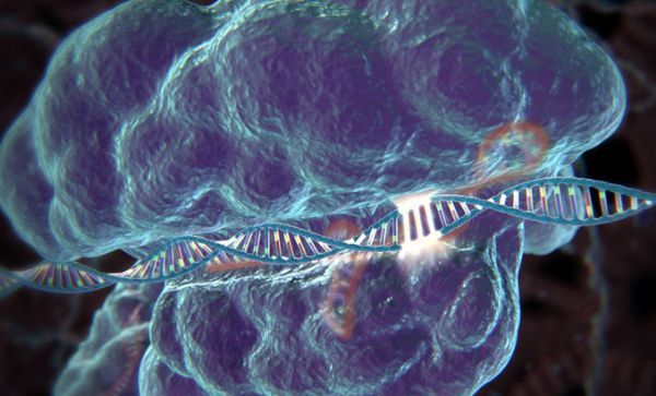 CRISPR基因编辑技术在进化发育生物学领域引发革命性突破