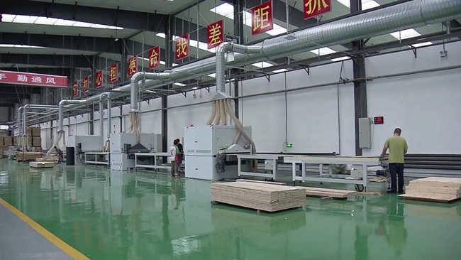 聚焦自贸区 以生物领域为突破，推动进口产品落地加工促进跨境产业融合发展